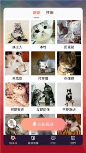 猫语翻译器app