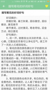 高考满分作文app
                           