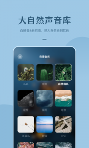 看见冥想最新版
