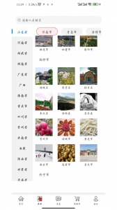 晃悠商城
                           