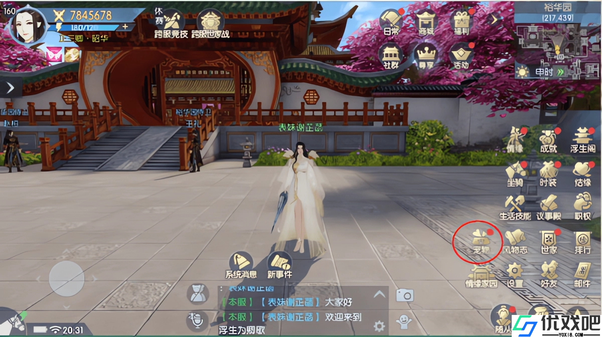 浮生为卿歌