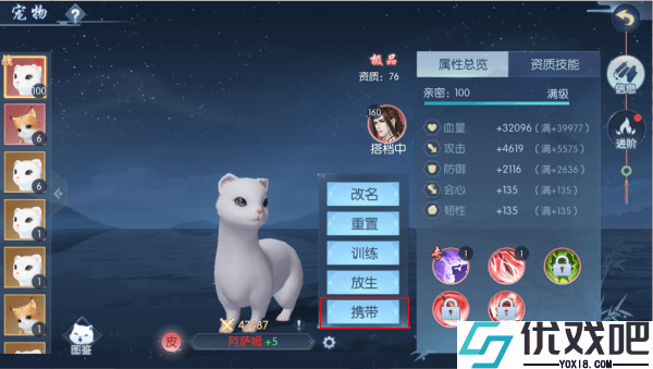 浮生为卿歌