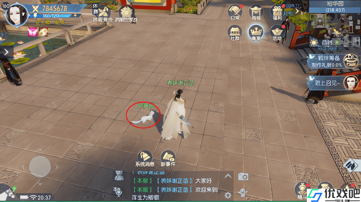 浮生为卿歌