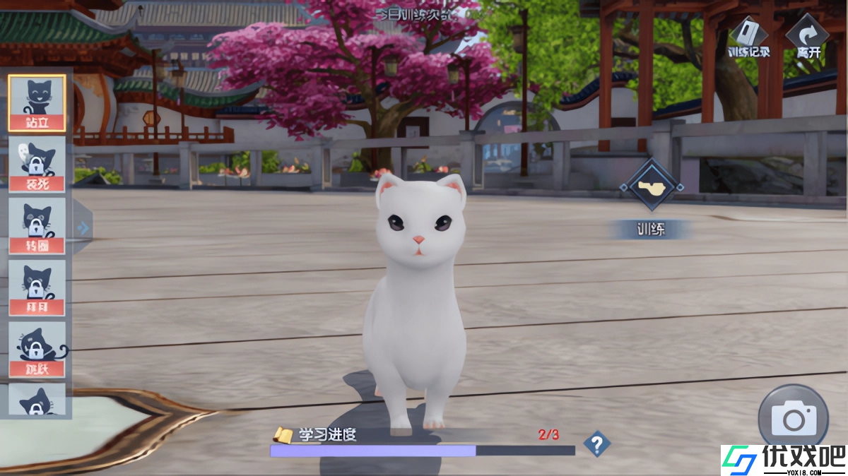 浮生为卿歌