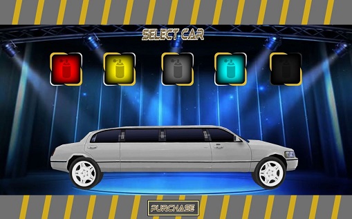 luxury city limo dri