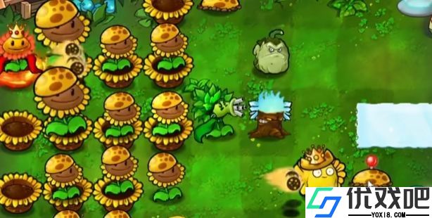 植物大战僵尸杂交版官方正版