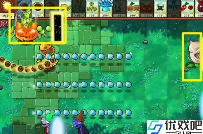 植物大战僵尸杂交版官方正版