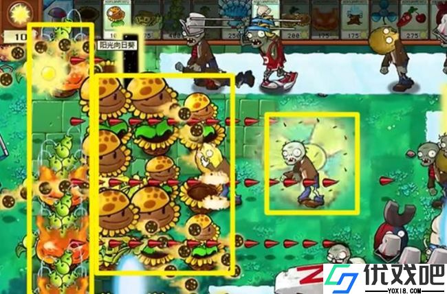 植物大战僵尸杂交版官方正版