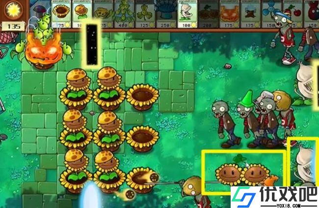 植物大战僵尸杂交版官方正版