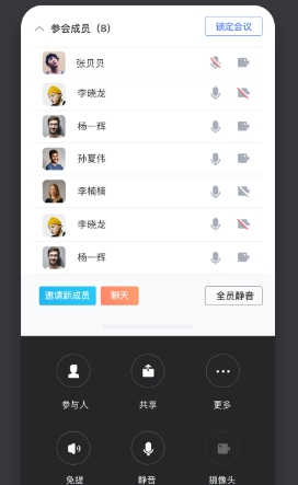 孔雀开会