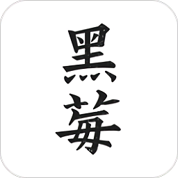 黑莓小说阅读器