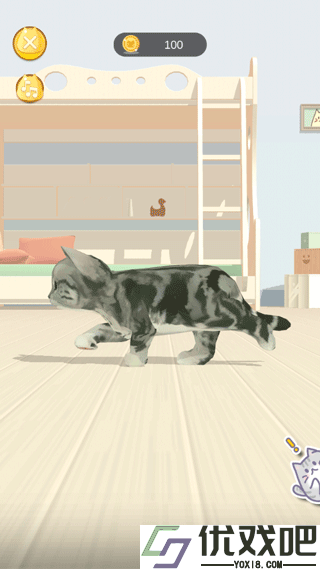 呼噜猫舍