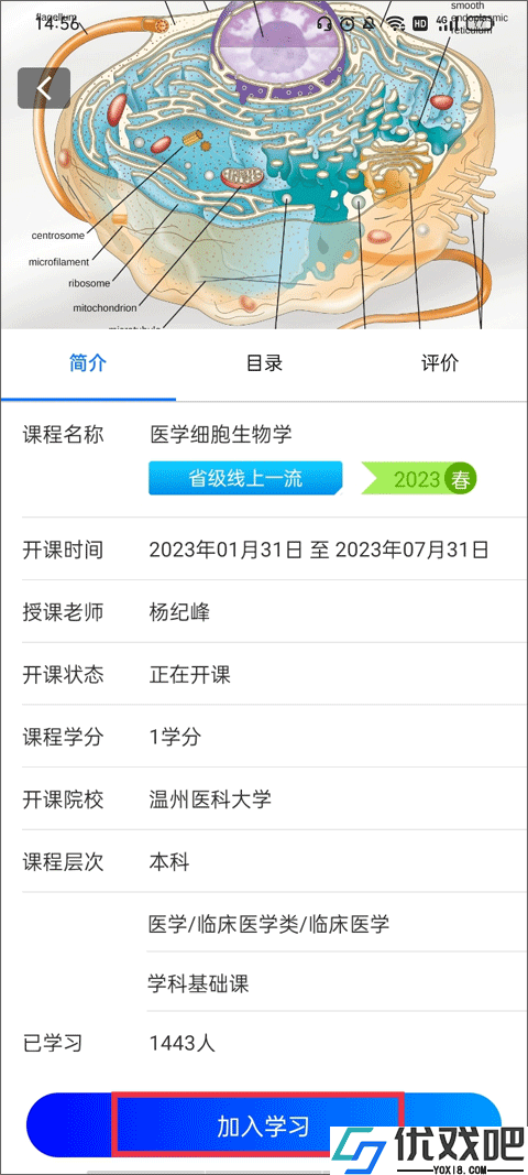 在浙学