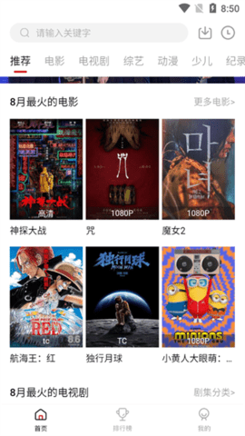 瓜皮t
