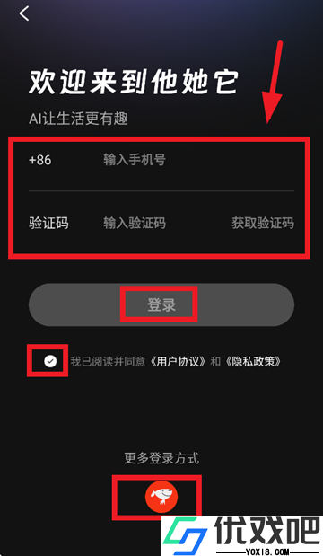 他她它