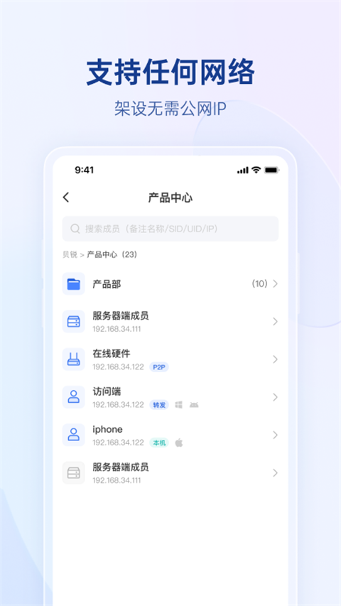 贝锐蒲公英联机版下载