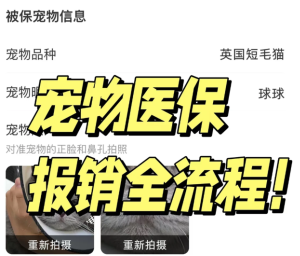 支付宝宠物保险报销流程 支付宝宠物保险报销比例【相关介绍】