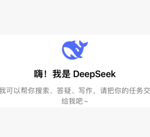 deepseek网页版入口 deepseek网页版怎么退出登录