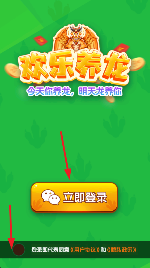 欢乐养龙