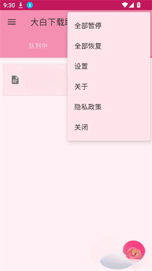 大白下载助手