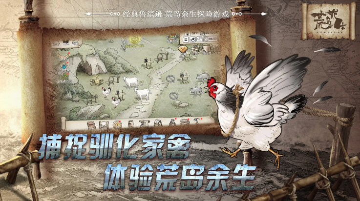 荒岛求生辉