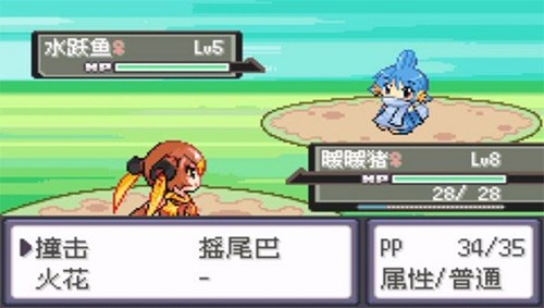 口袋妖怪漆黑的魅影