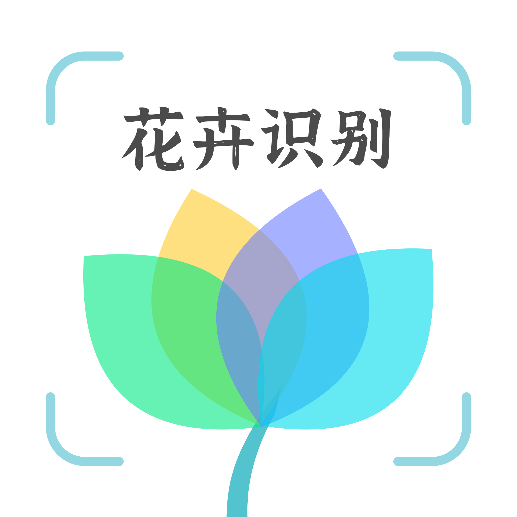 花卉识别软件