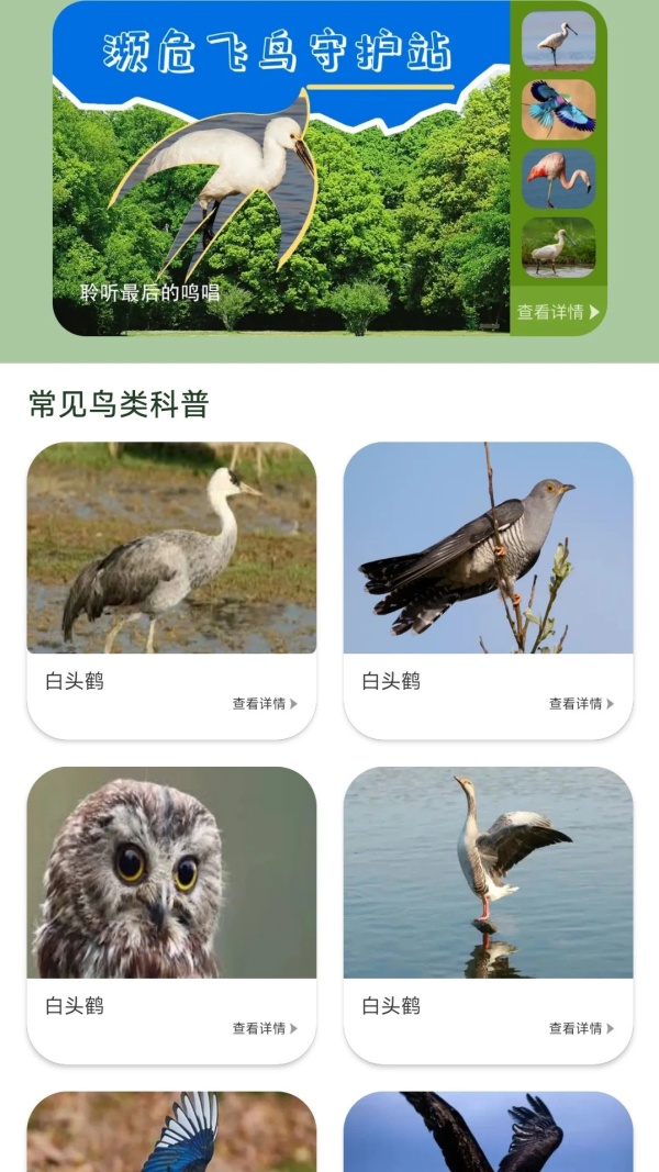 鸟语星球