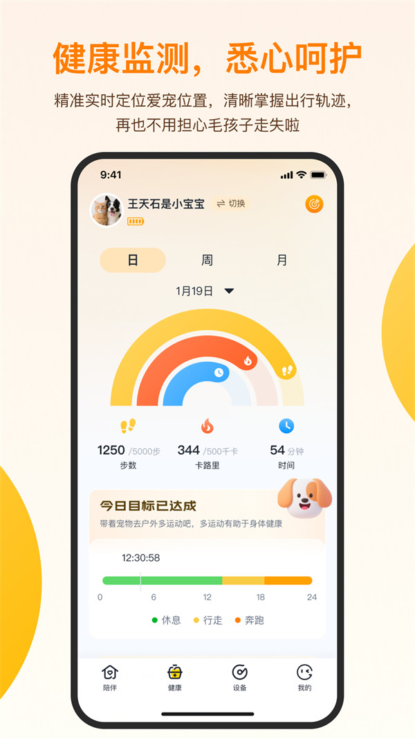 觅宠随行