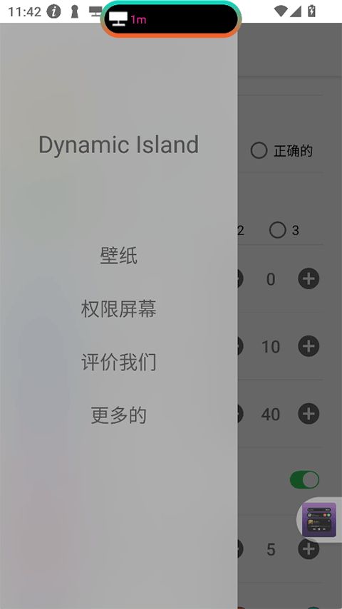 DynamicIsland