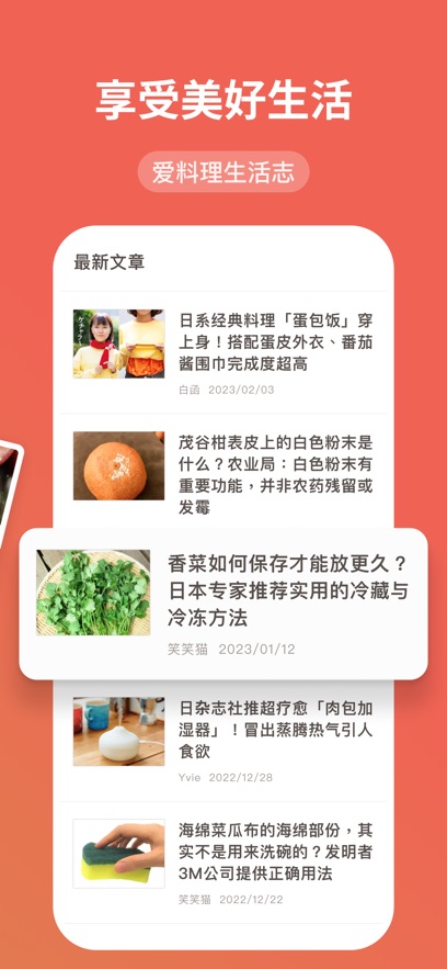 爱料理