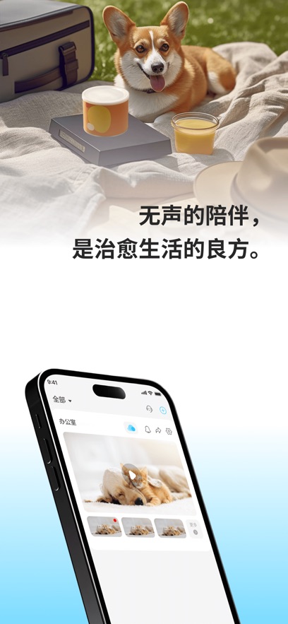 硅基智联