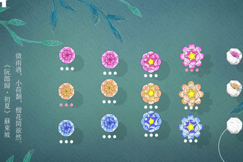 莲漪