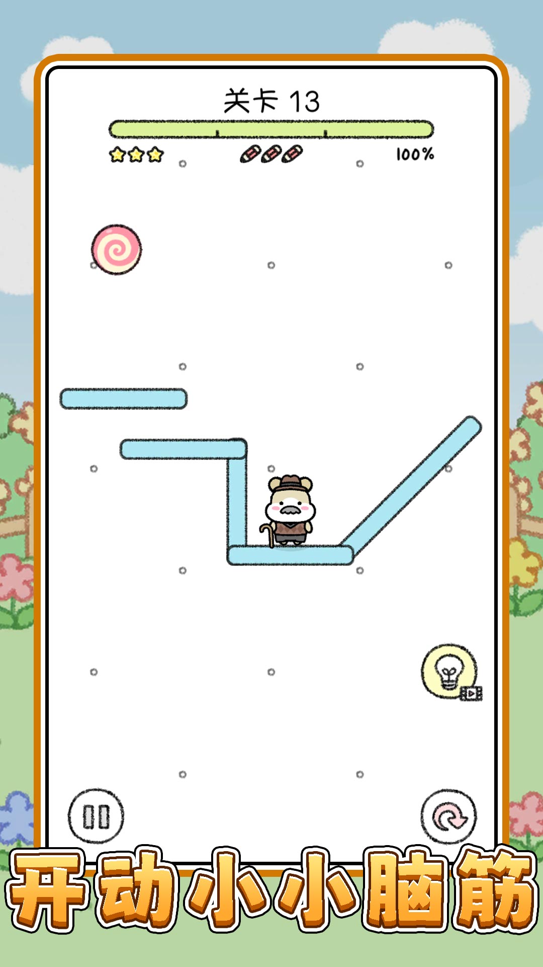 宠物点点点