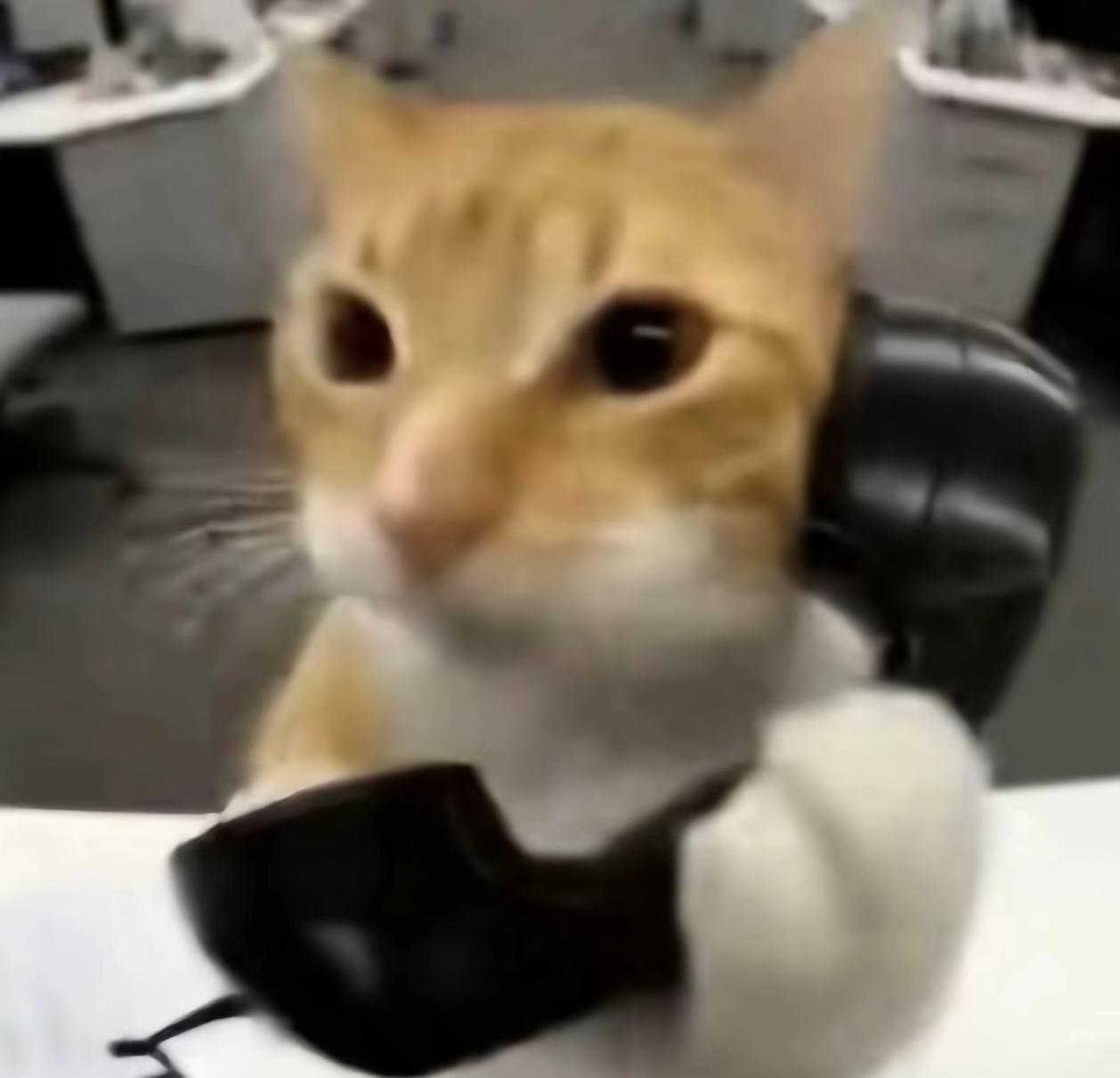 橘猫三角洲自动跑刀软件