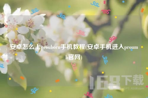 安卓手机如何进入proumb网站-安卓手机进入proumb网站教程【全方位秘籍】