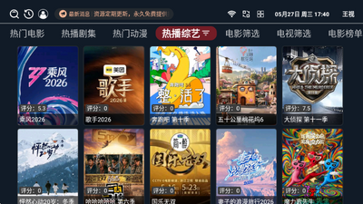 王视