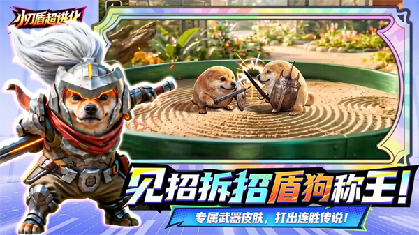 小刀盾超进化