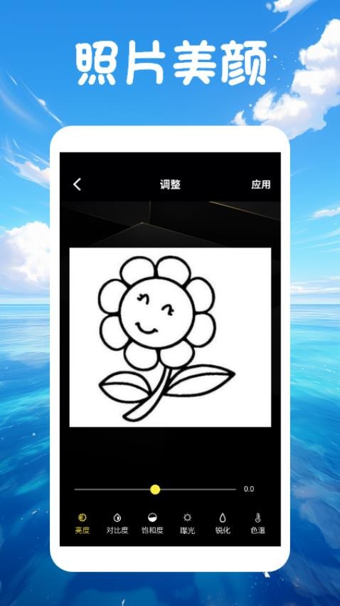 codeformercam免费版下载