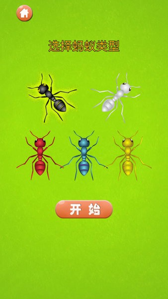 蚂蚁大战游戏下载