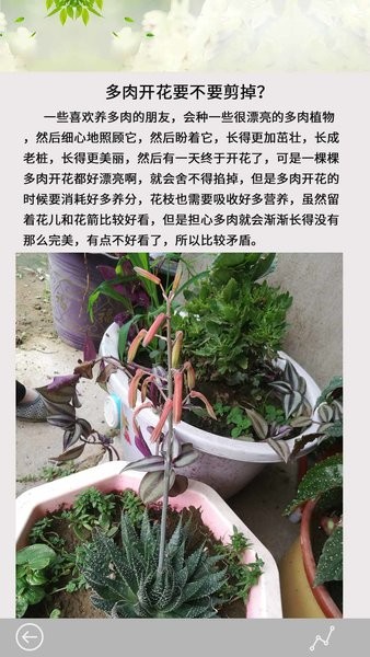 多肉花草日记app下载