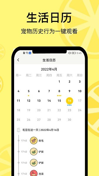 宠日常app下载