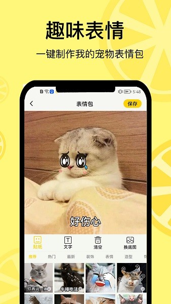 宠日常app下载