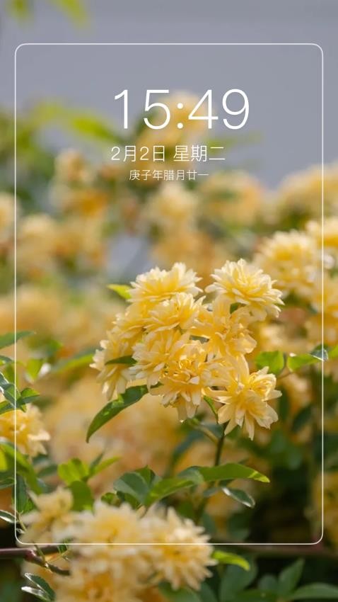 最美主题官方版APP下载