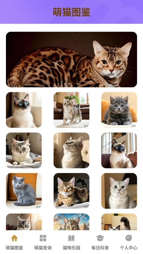 家有萌猫app下载官网版