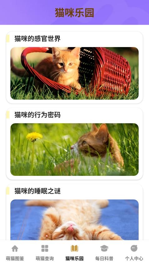 家有萌猫app下载官网版
