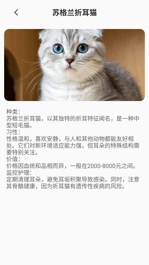 家有萌猫app下载官网版
