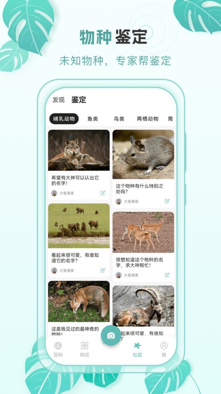 百科物语app下载