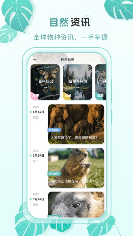 百科物语app下载