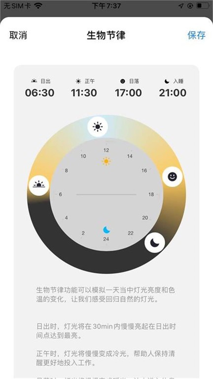 rayzig软件下载